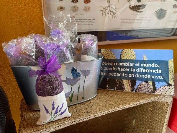 <p>Miscelánea en común: Rancho Agroecológico El Arco</p> - Imagen 2