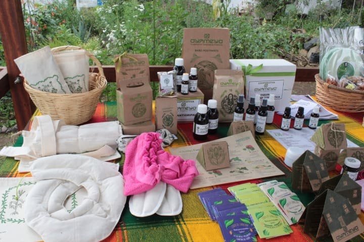 <p>Miscelánea en común: Cooperativa Oyameyo</p><p></p> - Imagen 1