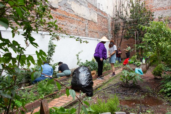 <p>Día de huerta</p> - Imagen 5