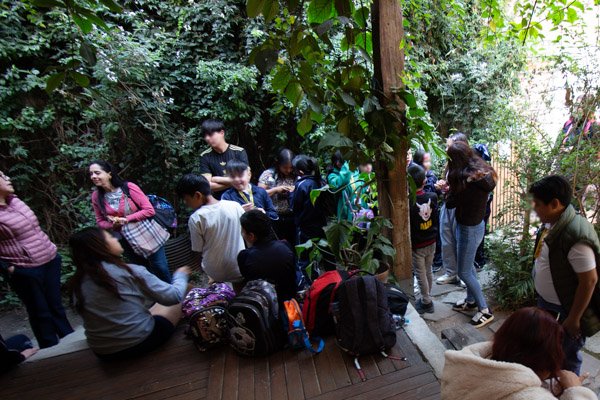 <p>Visita a la huerta: Primaria Ezequiel Chávez</p> - Imagen 1