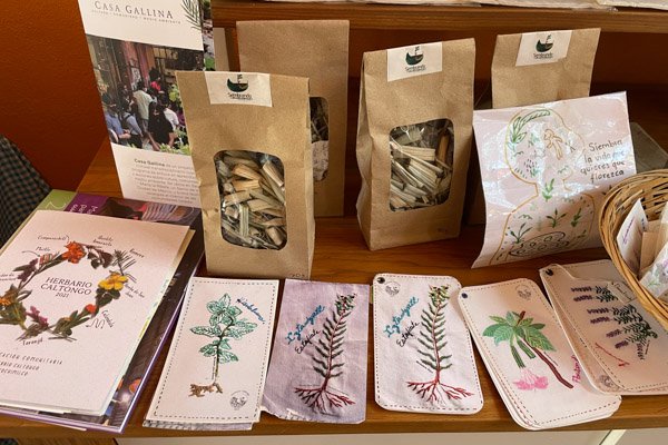 <p>Common Miscellany: Chinampa Amanalli / Sowing Environmental Culture (SECUAM)</p> - Imagen 1